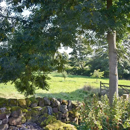 بيت للعطل The Bothy *